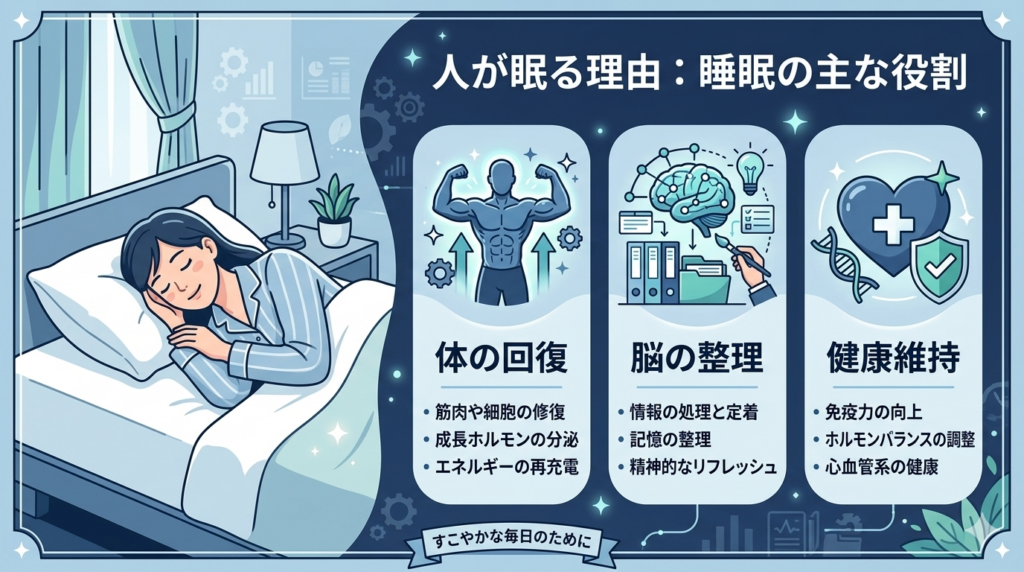 睡眠の役割として体の回復と脳の整理を説明するイメージ図